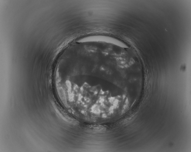 X0000114720443200911181408