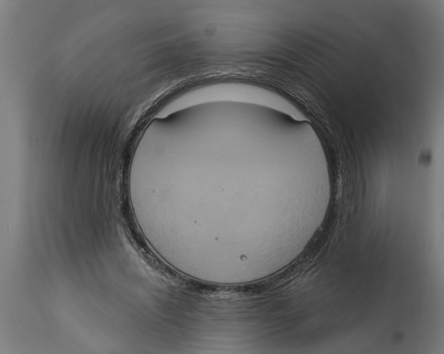 X0000114720444200911181408