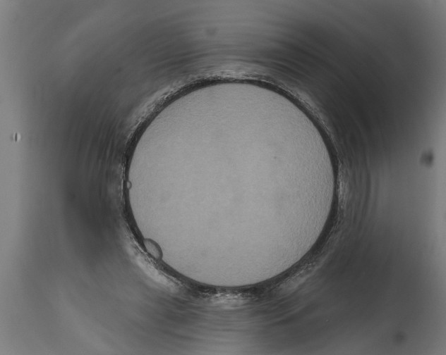 X0000114720445200911181408