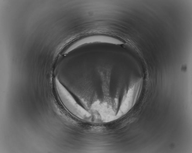 X0000114720446200911181408