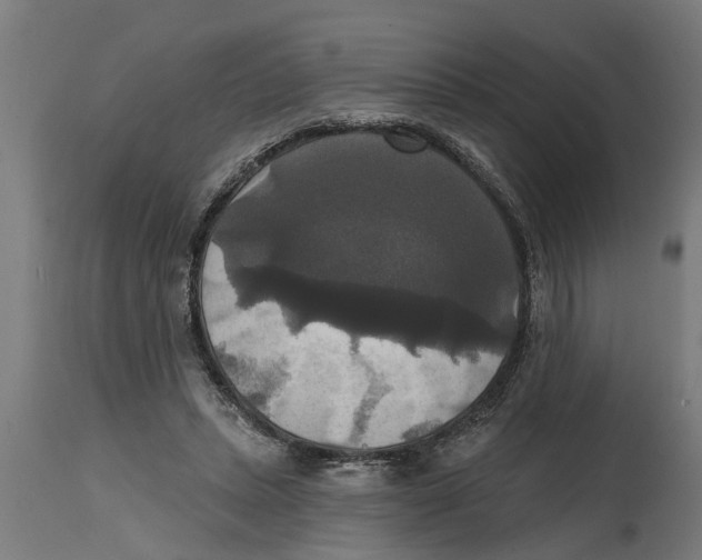 X0000114720447200911181408