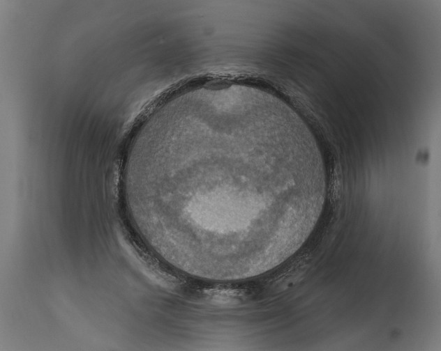 X0000114720448200911181408