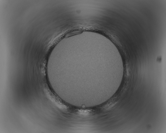 X0000114720450200911181408