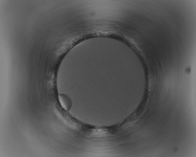 X0000114720451200911181408