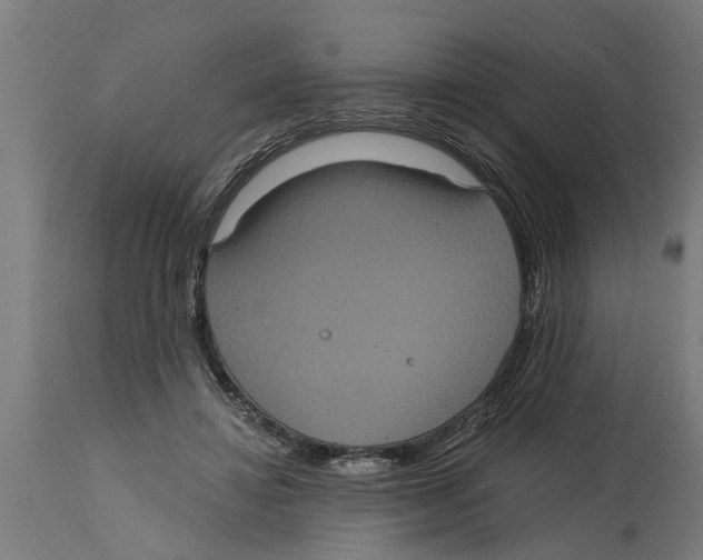 X0000114720452200911181408