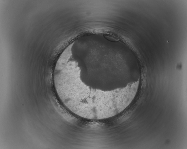 X0000114720453200911181408