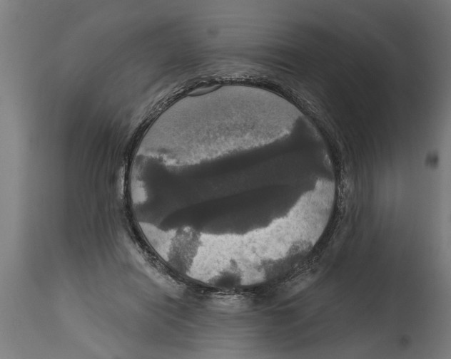 X0000114720454200911181408