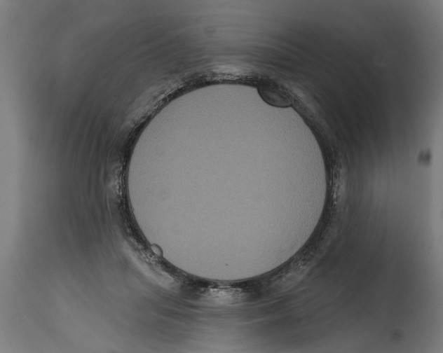 X0000114720455200911181408