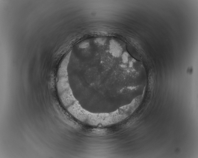 X0000114720457200911181408