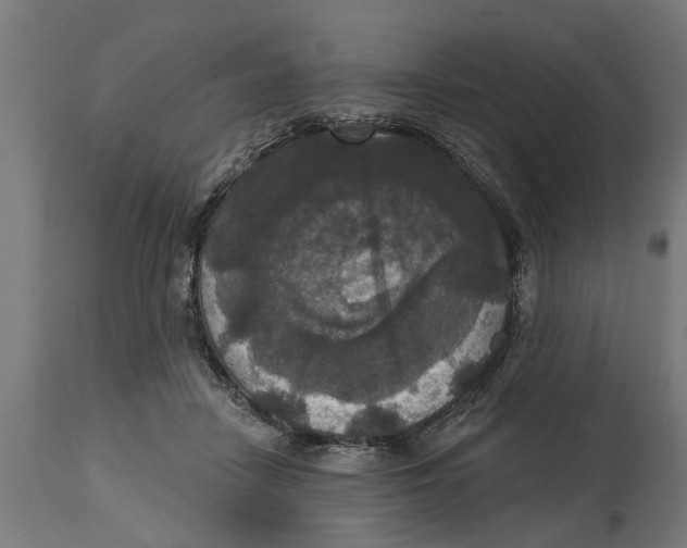 X0000114720458200911181408