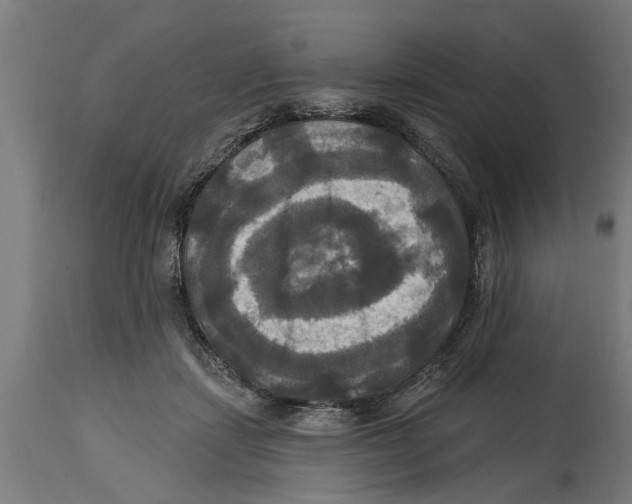 X0000114720459200911181408