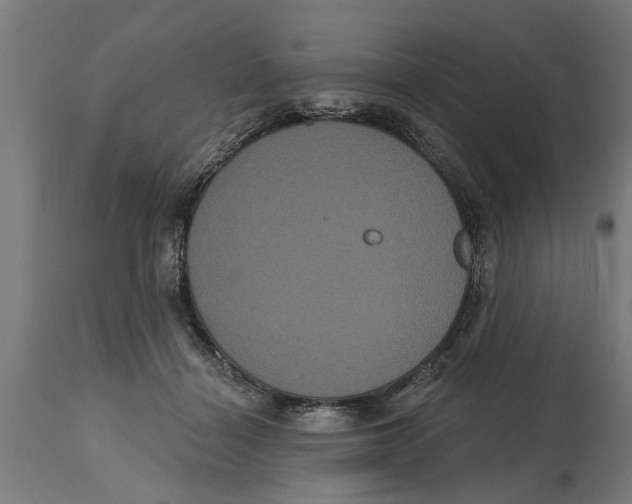 X0000114720460200911181408