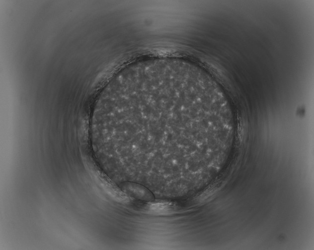 X0000114720461200911181408