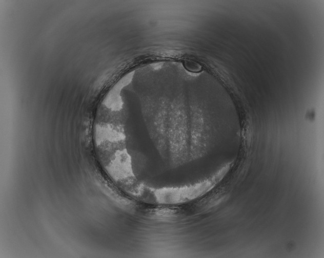 X0000114720462200911181408