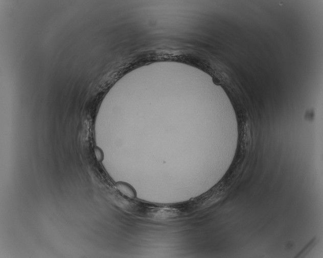 X0000114720463200911181408