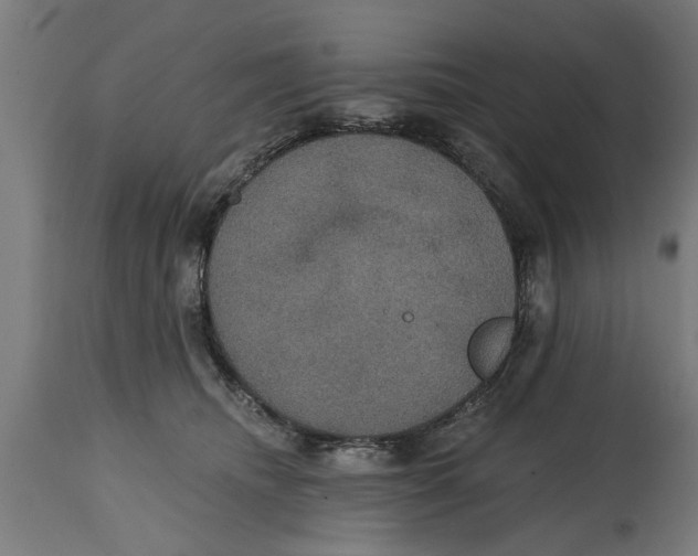 X0000114720468200911181408