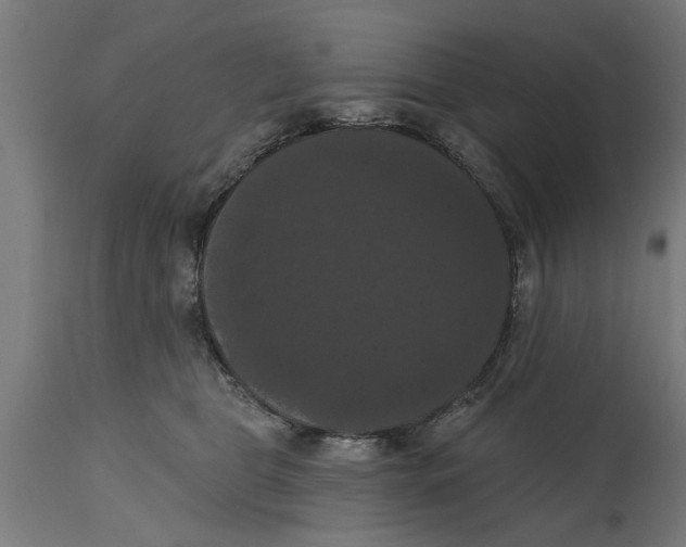 X0000114720469200911181408