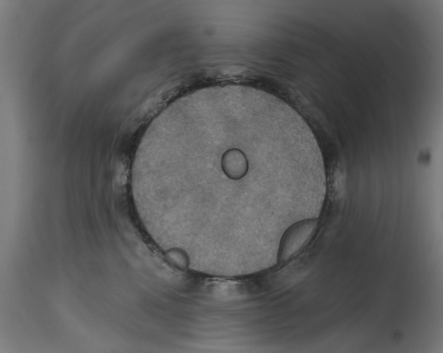 X0000114720472200911181408