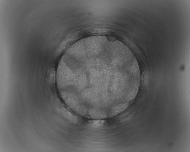 X0000114720474200911181409