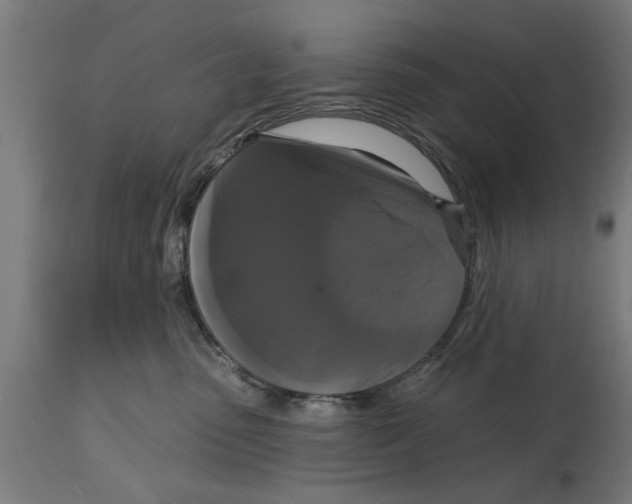 X0000114720475200911181409