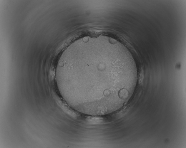 X0000114720476200911181409