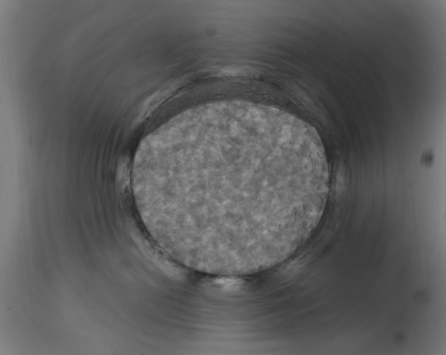 X0000114720478200911181409