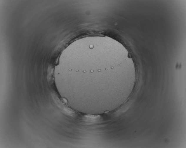 X0000114720480200911181409