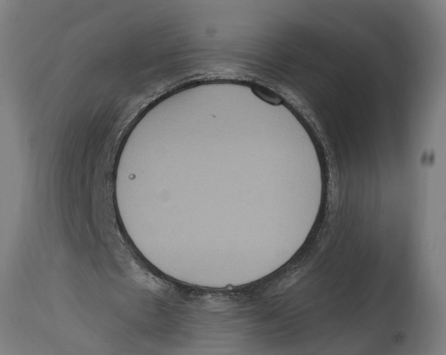 X0000114720481200911181408