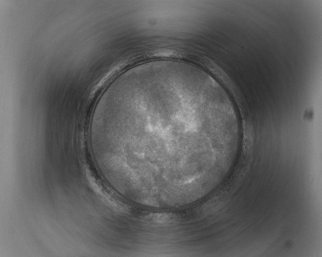 X0000114720482200911181408