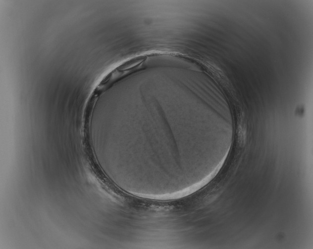 X0000114720484200911181408