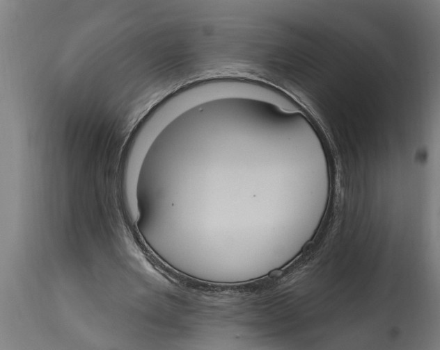 X0000114720485200911181408