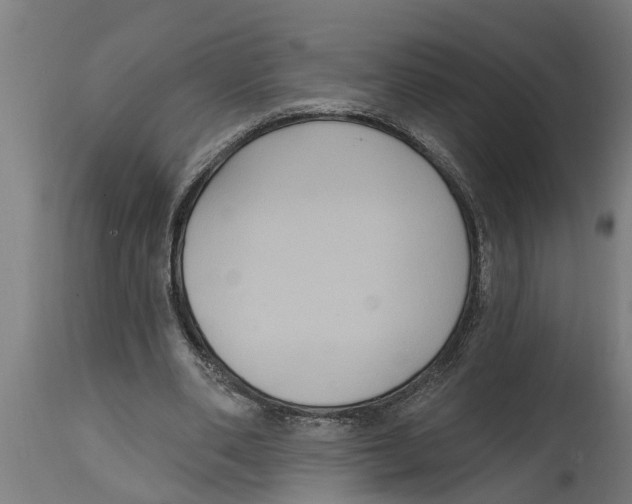 X0000114720486200911181408