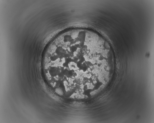 X0000114720487200911181408