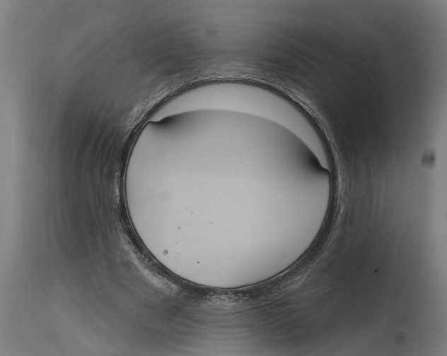 X0000114720489200911181408