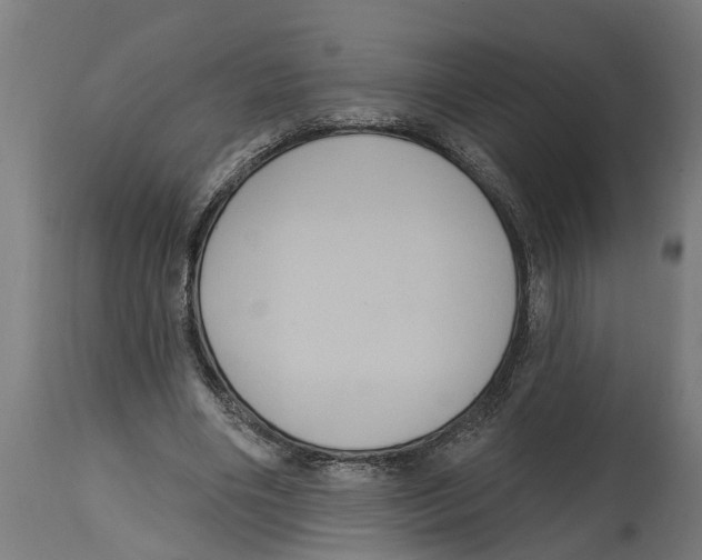 X0000114720490200911181408