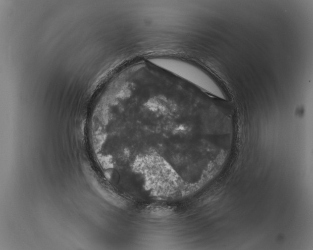 X0000114720491200911181408