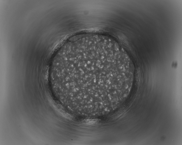 X0000114720495200911181408