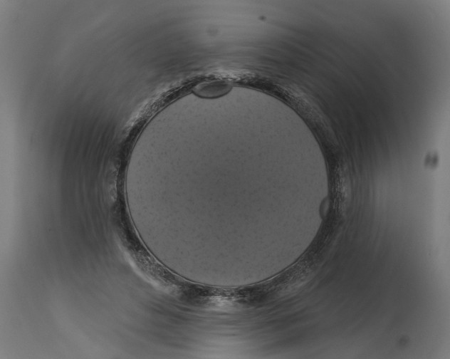 X0000114720496200911181408