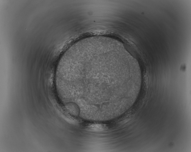 X0000114720499200911181408