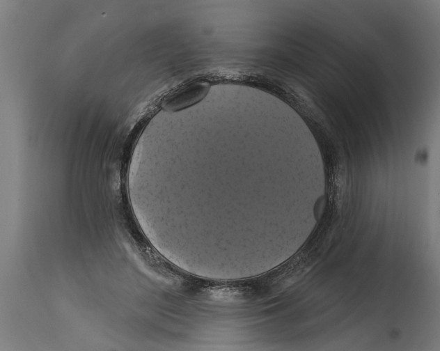 X0000114720500200911181408