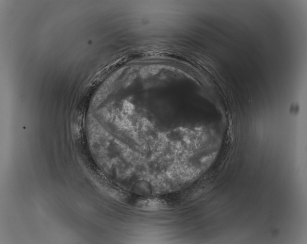 X0000114720503200911181408