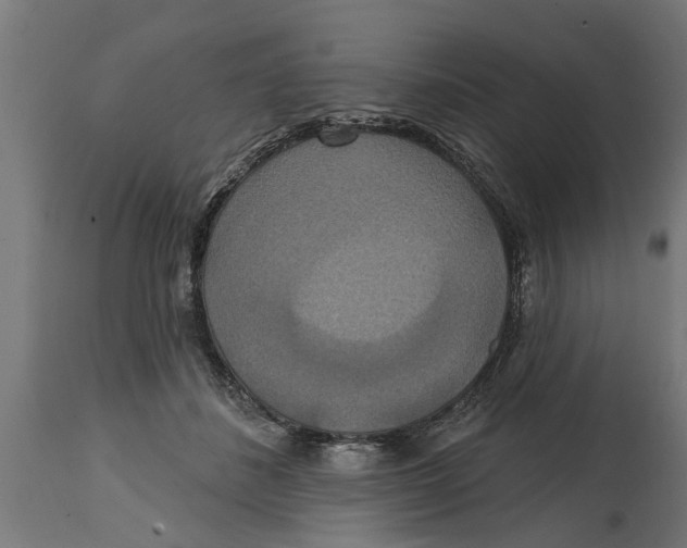 X0000114720508200911181408