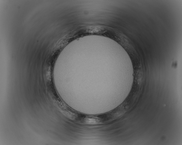 X0000114720510200911181407