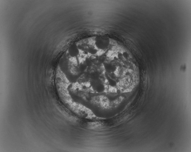 X0000114720511200911181407