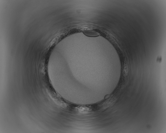 X0000114720512200911181407