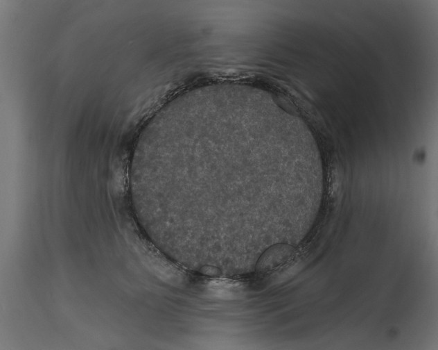 X0000114720515200911181407