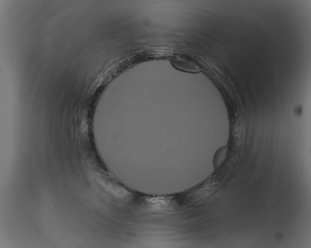 X0000114720516200911181407