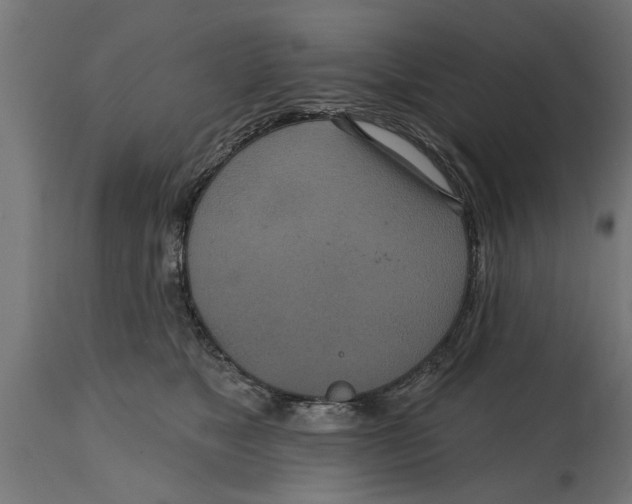 X0000114720517200911181407