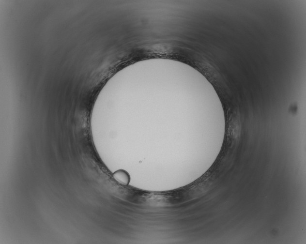 X0000114720518200911181407