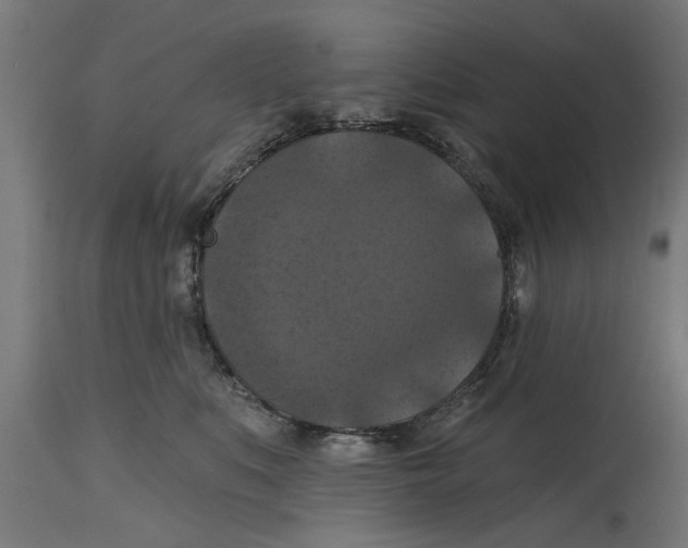 X0000114720519200911181407